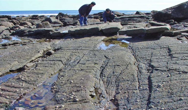 Outcrop photo of small-scale fault relays in Carboniferous limestone-shale sequence, Lamberton, SE Scotland.